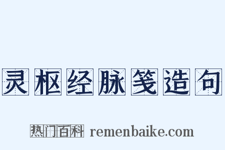 灵枢经脉笺造句是什么意思的图片